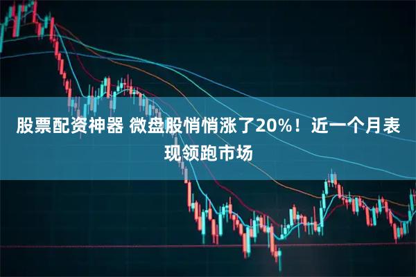 股票配资神器 微盘股悄悄涨了20%！近一个月表现领跑市场